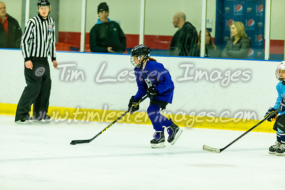 201903_CIMeltdown_2179