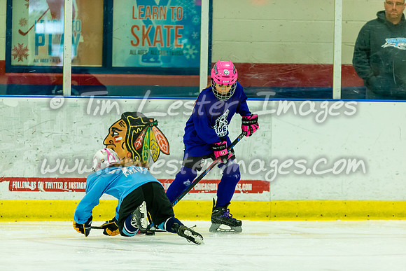 201903_CIMeltdown_2183