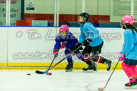 201903_CIMeltdown_2184