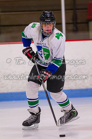 201503_NotreDame_0296