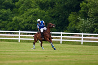 Horse Polo