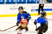 201903_CIMeltdown_3029