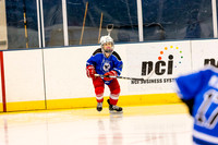 201903_CIMeltdown_3019